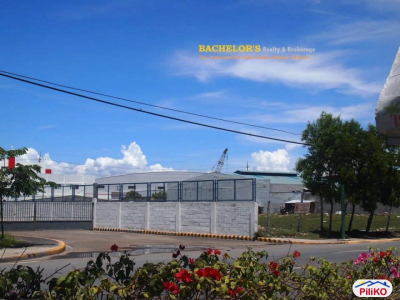 Agricultural Lot for sale in Cebu City - image 3