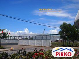 Agricultural Lot for sale in Cebu City - image 4