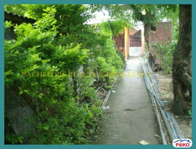 2 bedroom House and Lot for sale in Cebu City - image 4