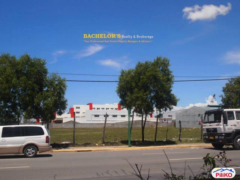 Agricultural Lot for sale in Cebu City - image 5