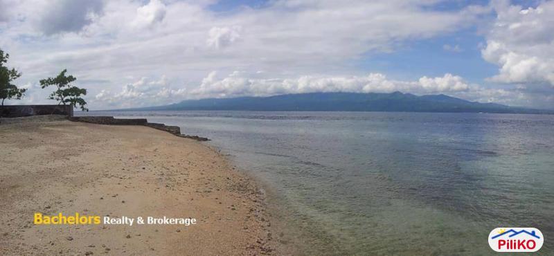 Picture of Commercial Lot for sale in Cebu City in Cebu