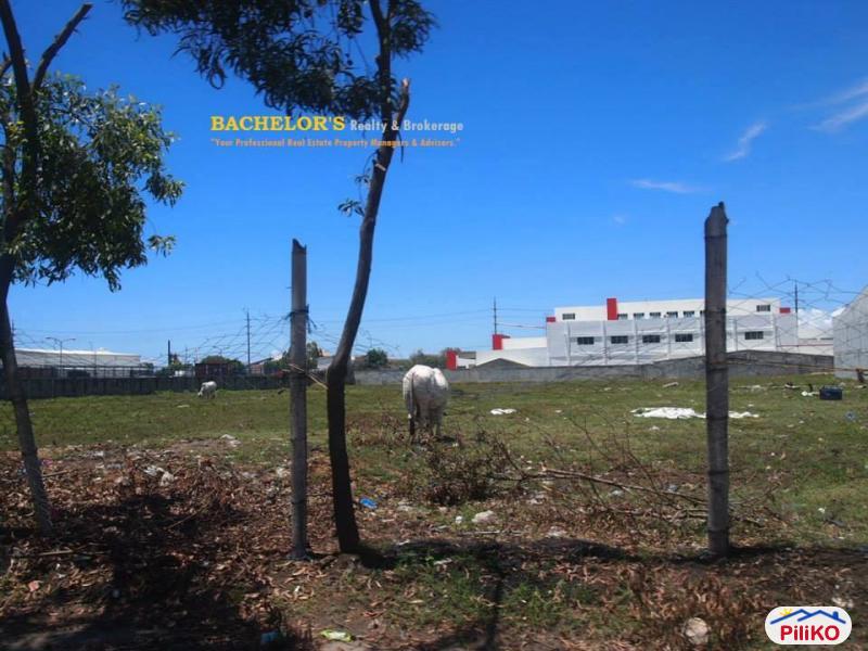 Picture of Agricultural Lot for sale in Cebu City in Philippines