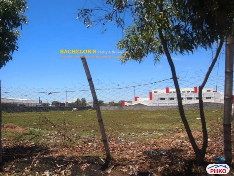 Agricultural Lot for sale in Cebu City in Cebu - image