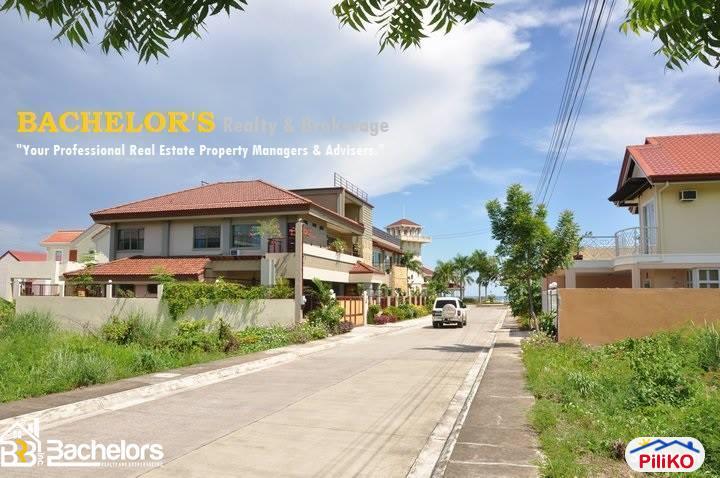 Agricultural Lot for sale in Cebu City - image 8
