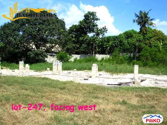 1 bedroom House and Lot for sale in Cebu City - image 9