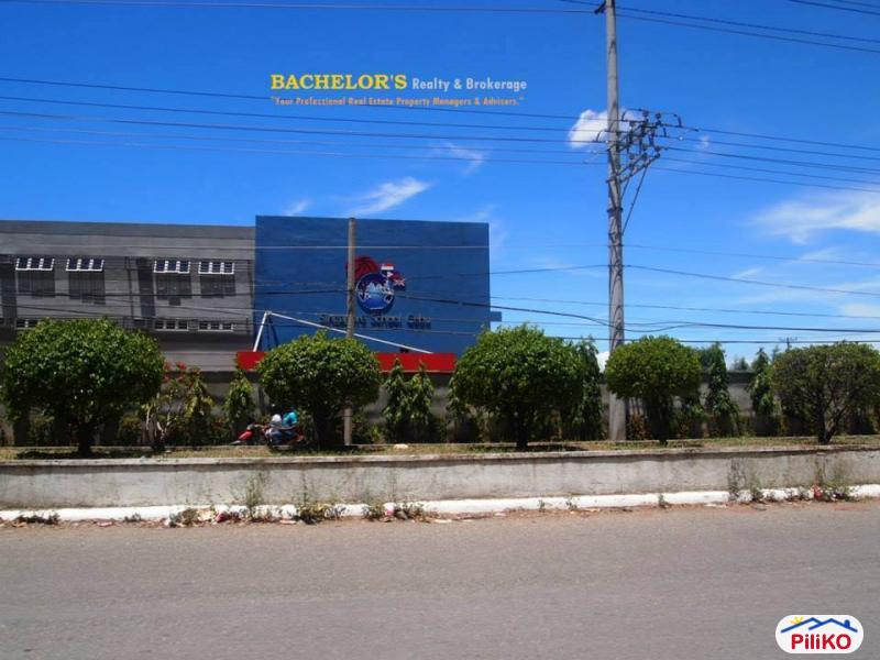 Agricultural Lot for sale in Cebu City - image 9