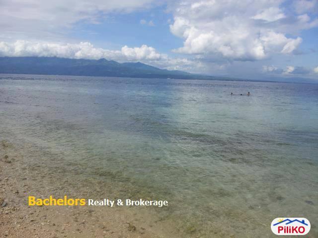 Commercial Lot for sale in Cebu City - image 9