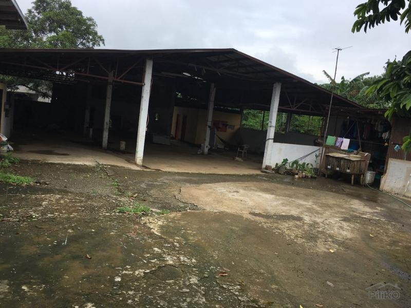 Pictures of Warehouse for rent in Tanauan
