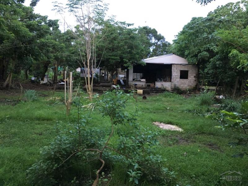 Warehouse for rent in Tanauan - image 3