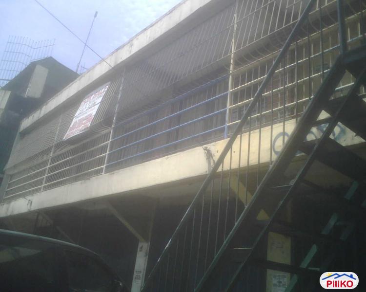 Other commercial for sale in Paranaque