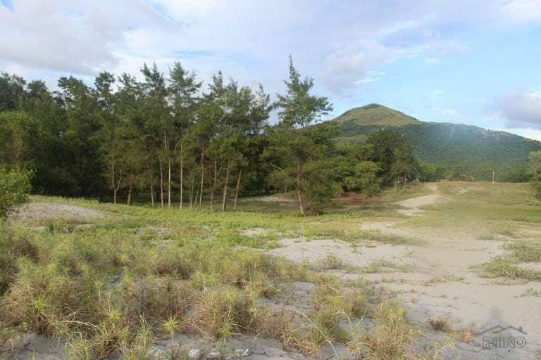 Commercial Lot for sale in Botolan - image 2