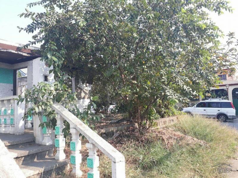 Picture of Residential Lot for sale in Las Pinas