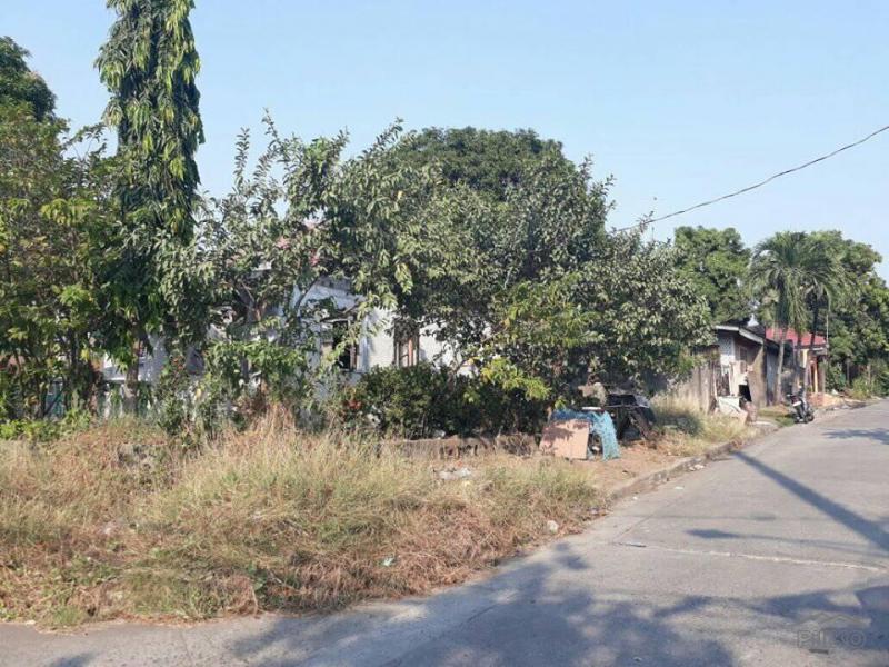 Residential Lot for sale in Las Pinas - image 2