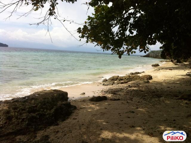 Picture of Agricultural Lot for sale in Island Garden City of Samal