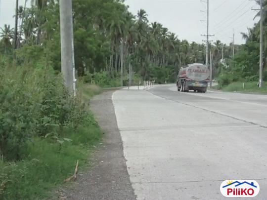 Pictures of Commercial Lot for sale in Island Garden City of Samal