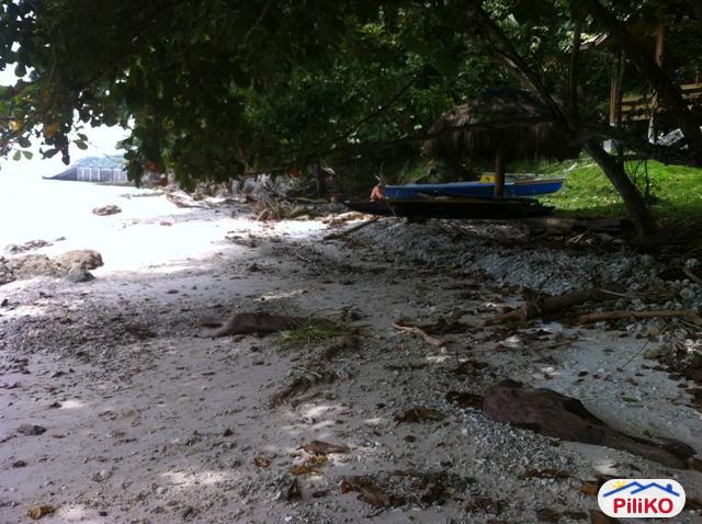 Agricultural Lot for sale in Island Garden City of Samal - image 2