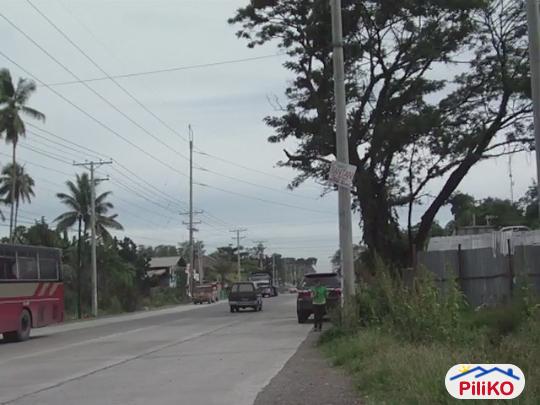 Commercial Lot for sale in Island Garden City of Samal - image 2