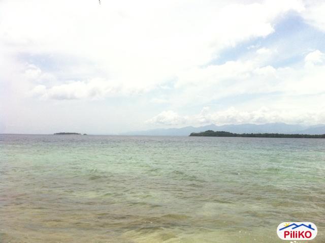 Agricultural Lot for sale in Island Garden City of Samal in Davao del Norte