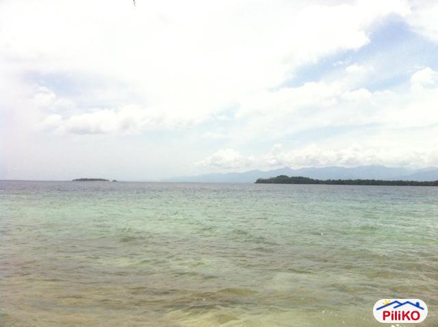 Agricultural Lot for sale in Island Garden City of Samal - image 3