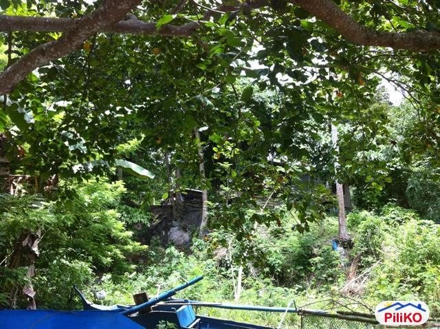 Agricultural Lot for sale in Island Garden City of Samal - image 4