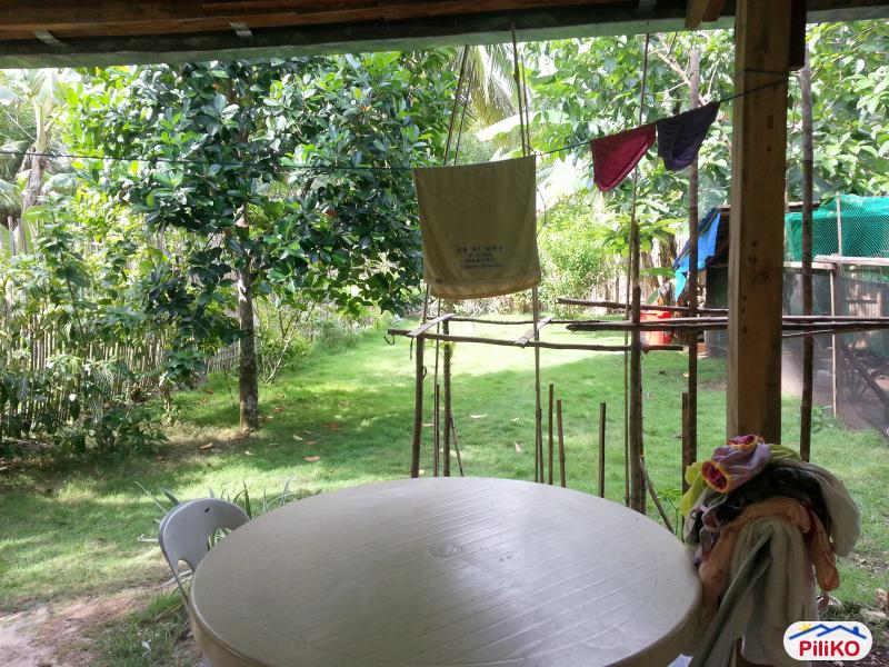 2 bedroom House and Lot for sale in Tagbilaran City - image 10