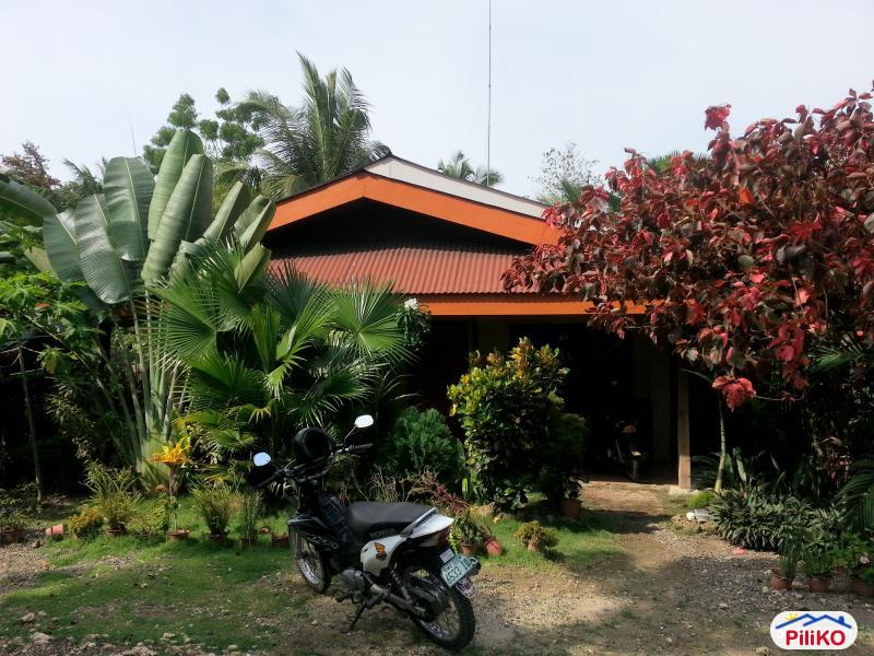 Pictures of 2 bedroom House and Lot for sale in Tagbilaran City