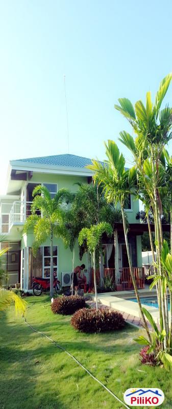 Other houses for sale in Tagbilaran City - image 3