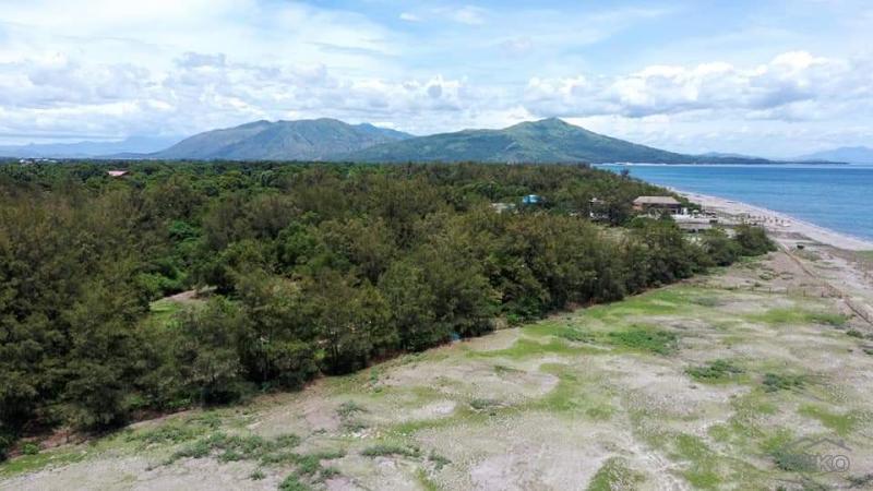 Other lots for sale in Olongapo - image 5