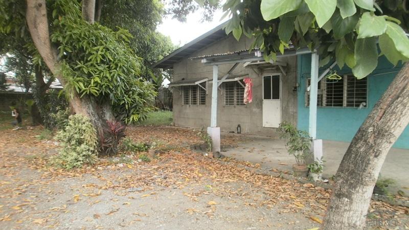 Residential Lot for sale in Talisay - image 10
