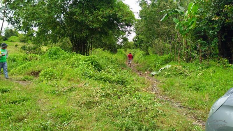 Land and Farm for sale in Cabangan - image 10