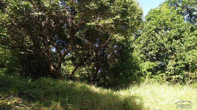 Land and Farm for sale in Botolan - image 10