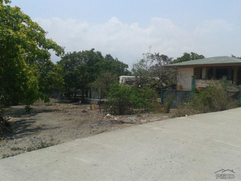 Other property for sale in Cabangan - image 10