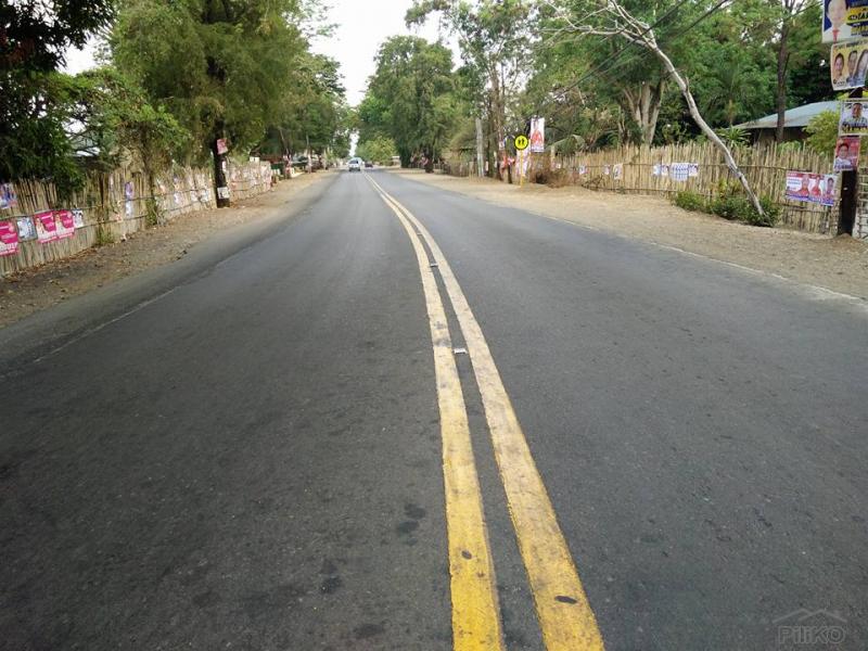 Other property for sale in Cabangan - image 11