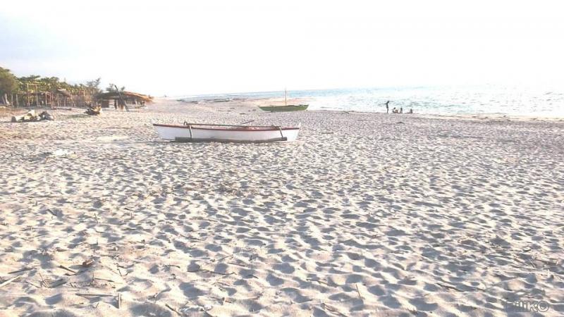 Other property for sale in Cabangan - image 11
