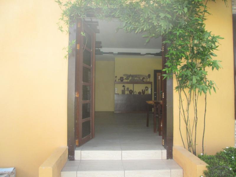 3 bedroom Houses for sale in Dumaguete - image 11