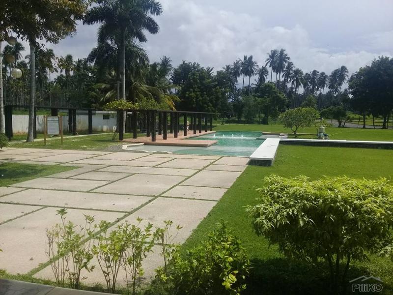 Land and Farm for sale in San Pablo - image 11