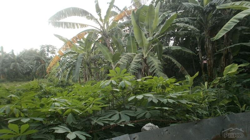 Residential Lot for sale in Talisay - image 12