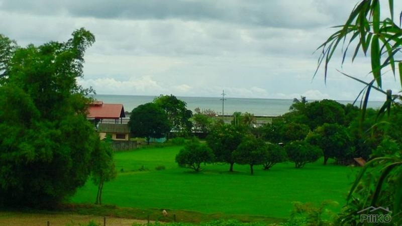 Land and Farm for sale in Cabangan - image 12