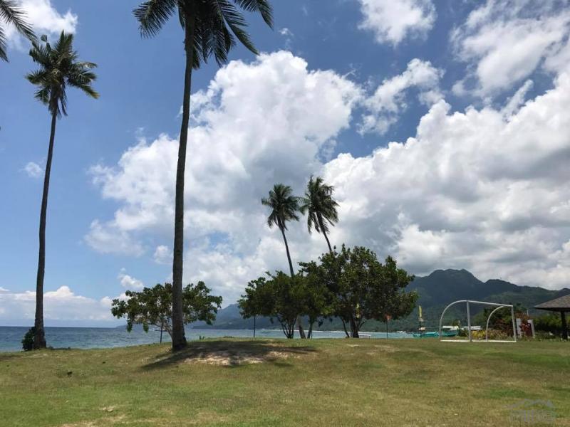 Residential Lot for sale in San Juan - image 12