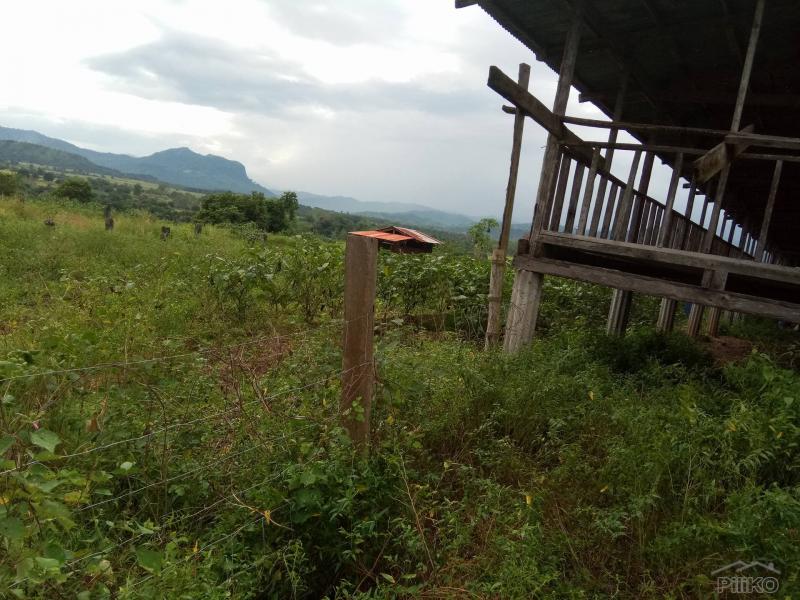 Land and Farm for sale in San Jose - image 12