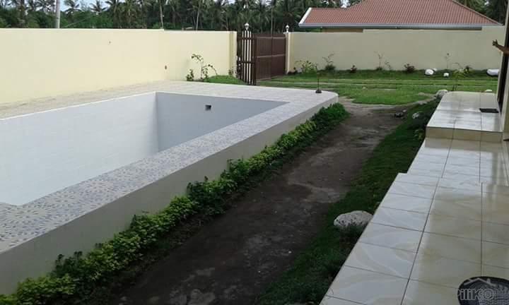 3 bedroom House and Lot for sale in Bacong - image 13