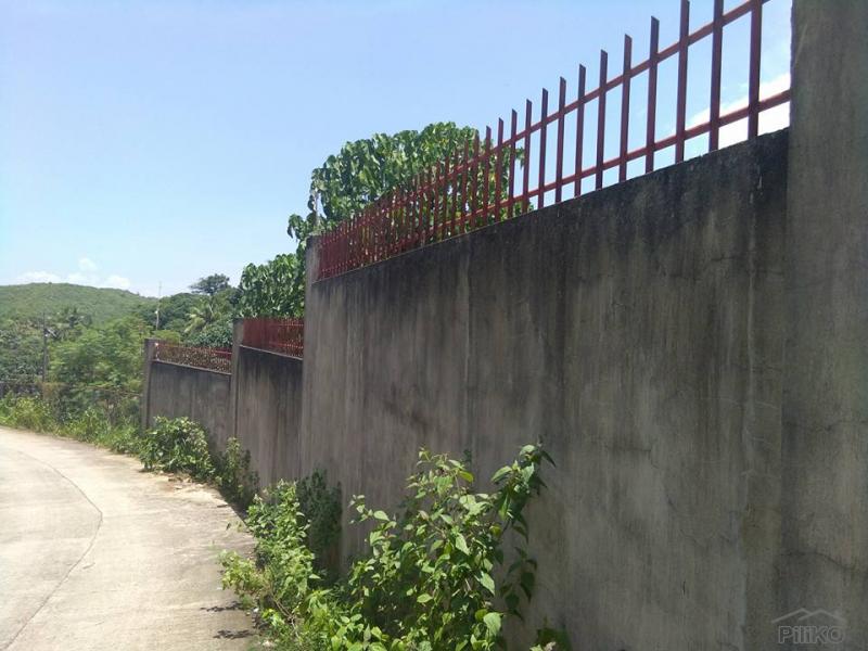 2 bedroom House and Lot for sale in Compostela - image 13