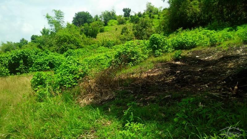Land and Farm for sale in Botolan - image 13