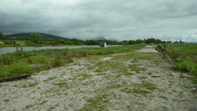 Other property for sale in Botolan - image 13