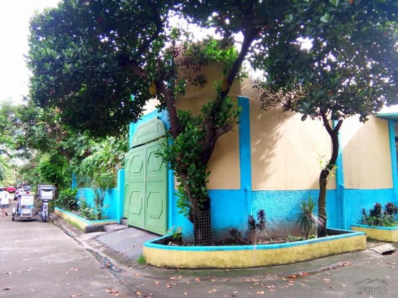 5 bedroom House and Lot for sale in Binan - image 13