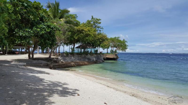 1 bedroom Condominium for sale in Lapu Lapu - image 14