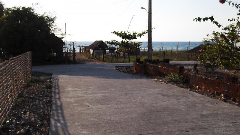 Other property for sale in Cabangan - image 14