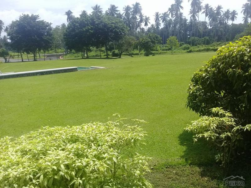 Residential Lot for sale in San Pablo - image 14
