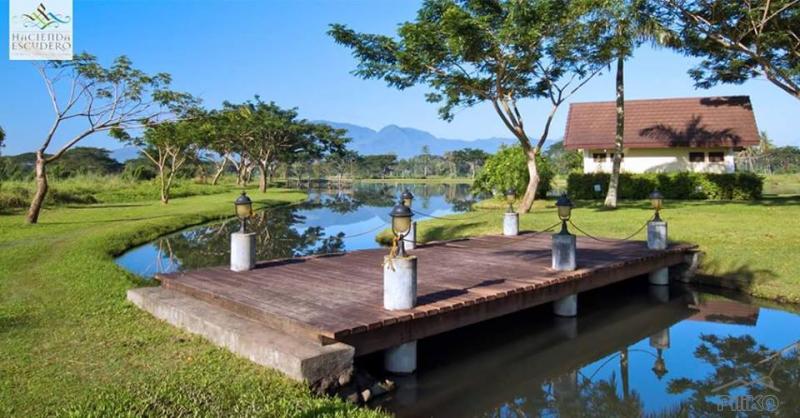 Land and Farm for sale in San Pablo - image 14