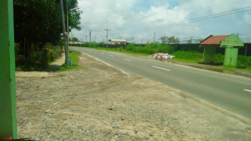 Land and Farm for sale in Cabangan - image 15